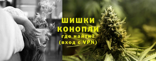 метадон Богданович