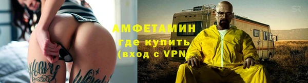 метадон Богданович
