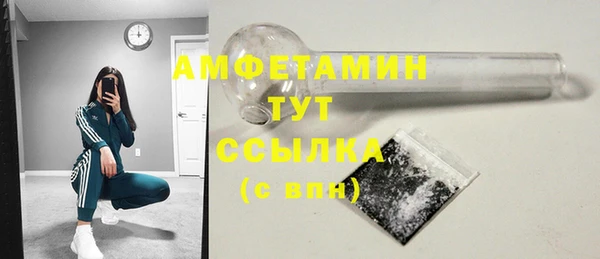 метадон Богданович