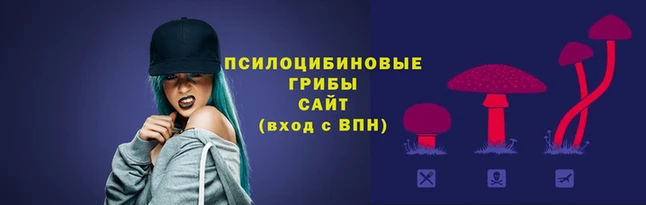 герыч Богородицк