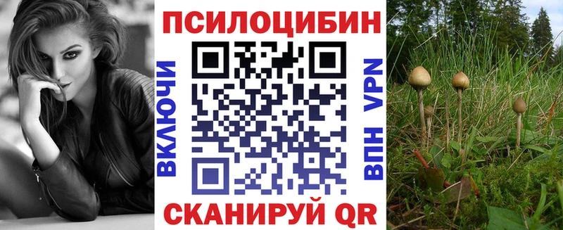 Псилоцибиновые грибы Cubensis  Каменск-Уральский 